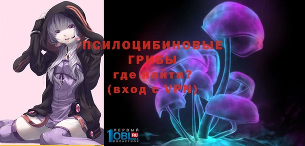 амф Бронницы