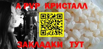 СК Новодвинск