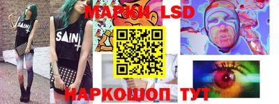СК Новодвинск