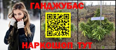 СК Новодвинск