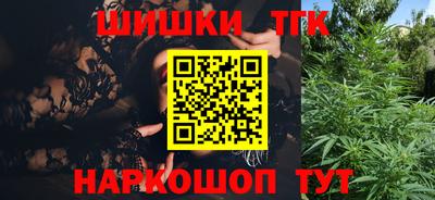 СК Новодвинск