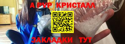СК Новодвинск