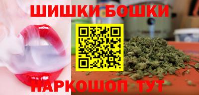 СК Новодвинск