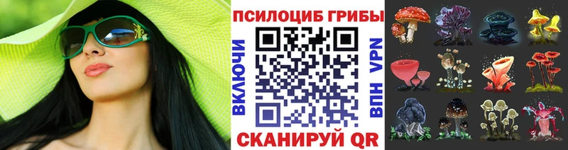 Галлюциногенные грибы Psilocybe  Валуйки 