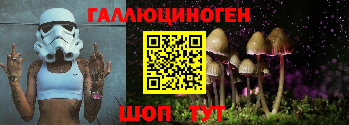 Псилоцибиновые грибы мицелий Валуйки